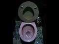 Self-flushing Toilet
