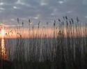 waterland trio 2