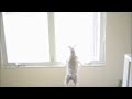 a cute fricking dog enjoying some jazz and a window sill.

www.pkafka.com