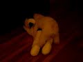 Cute poodle gonne wild! Cute poodle gonne wild!