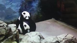 Smithsonian National Zoo