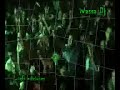 LA PETACA skorpion disco show