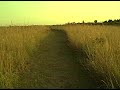 Flip Ultra Test