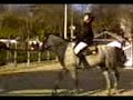 Cso maisons laffitte e3 depar Cso maisons laffitte e3 depar