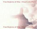 bruce-springsteen-e-st-band-girls-in-their-summer-clothes-.html