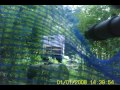 BB-JUNGLEにてサバイバルゲ－ム「EIGHT」