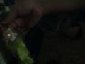 videos de yummy time