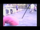 NSW Backyard Saturday: Shakesphere -vs- Anubis