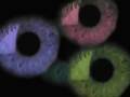 Zeitgeist-The-Movie-