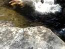 Plunge pool jumping