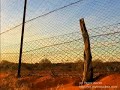 Corner Country, NSW Outback, Australia