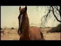 community, and he has a hard time getting along, but an orphaned boy who works at a stable takes a liking to the little horse and looks after him. When war breaks out, the stable is abandoned and the pony escapes into a nearby desert, where an Oryx antelope and a native girl become his companions and teach him how to survive on his own. Movie Written by: Jean-Jacques Annaud and Jeanne Rosenberg. ... Running Free Horses Part Jean-Jacques Annaud 1998 Lucky Richard Arabian Skeletion Coast Africa ...