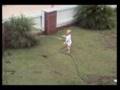comedy57 afv comedy