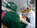 Periodontia
