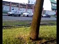pieeeeeerdol sie!