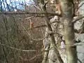 Elia Tropeano alla ricerca di tumuli e muretti di pietre (Isernia)