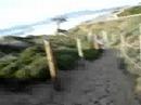 funston to sloat beach run