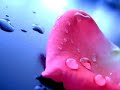 YouTube - لحـظة تسـاؤل -َMystêriôµs َ'َGir£