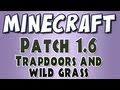 Minecraft - Patch 1.6: Trapdoors, Maps and Wild Grass!