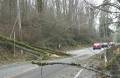Western Washington Wind Storm, December 2006 (part two)