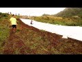 Promo Trailer - Makahiki Challenge Hawaii