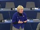 Karin Riis-J�rgensen on EU/Africa Summit