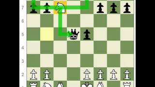 Chess Tactics: Double Attack