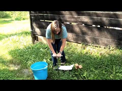 how to collect soil samples