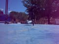 pqn skater