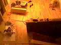 Time Lapse Hardwood Floor Installation