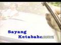 Di Sana Menanti Di Sini Menunggu - Ukay's