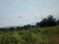 videos de dos helicopteros en xoxocotla 09 oct 2008