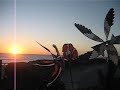 pinwheel