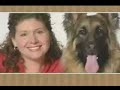 Meet the Breed - German Shepherd