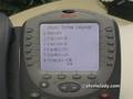 Avaya Quick Edition