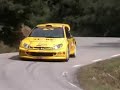 test peugeot 206 wrc zapirain