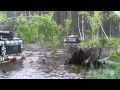 Просмотр видео