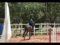 Foto v�deo