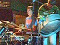 Finn Riggins -- A Whale, A Fish (live) Finn Riggins -- A Whale, A Fish (live)