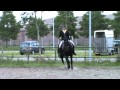 Marrit met Isa en Sanne met Geeske