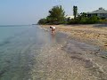Kim hunting Sharks Teeth Kim hunting Sharks Teeth