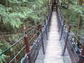 videos de Amber in Capilano