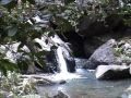 El-Yunque, Tropisch Regenwoud. Nog wat restant-beelden :o)