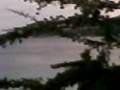 videos de Pantai Tanjung Karang