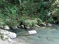 VISITANDO TIO YACU - SAN MARTIN - JUCARO 2007