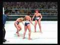 SvR2007-Handicap-mat