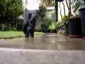 ClownwalkTV./ Flippenout - U Remind Me. 