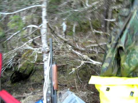 Icy Bay Camping How to -