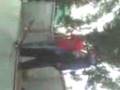 videos de tontos