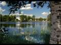 Folk music from Sweden by Arany Zoltán